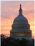 The U.S. Capitol