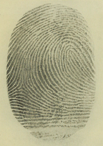 Fingerprint